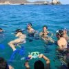Bahía de las Aguilas: Beach Day Trip by Boat -Day Pass - Pedernales - Image 15
