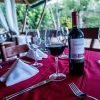 ⁦Los Haitises National Park + Lunch at Caño Hondo from Samaná Port.⁩ - الصورة ⁦18⁩