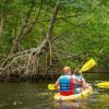 Mountain Bikes + 4 hours kayaks Los Haitises - Image 10