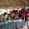 Cayo Levantado & Kayaking + Snorkeling - Image 6