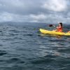 Cayo Levantado & Kayaking + Snorkeling - Image 20