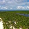 Saona Island Tour from Punta Cana - Natural Pool Excursion - Image 10