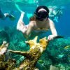 Snorkel Cayo Levantado and Farola island Snorkeling - Image 10