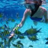 Snorkel Cayo Levantado and Farola island Snorkeling - Image 12