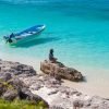 Bahía de las Aguilas: Beach Day Trip by Boat -Day Pass - Pedernales - Image 10