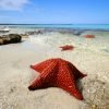 Bahía de las Aguilas: Beach Day Trip by Boat -Day Pass - Pedernales - Image 13