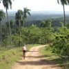 Mountain Bikes + Taino’s Canoe Los Haitises - Image 27