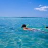 Catalina Island & Altos de Chavon From Punta Cana ( Snorkeling with Catamaran Party ) - Image 13