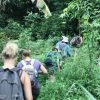 Hike + Kayak Los Haitises - Image 10