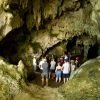 ⁦Los Haitises National Park + Lunch at Caño Hondo from Samaná Port.⁩ - الصورة ⁦13⁩
