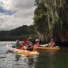 Los Haitises Sunrise or Sunset Private Kayak Excursion with Locals - Image 15