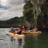 Los Haitises Sunrise or Sunset Private Kayak Excursion with Locals - Image 16