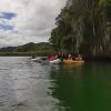 Los Haitises Sunrise or Sunset Private Kayak Excursion with Locals - Image 20