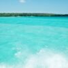 Saona Island: Beach & Natural Pool Small-Group Tour w/ Lunch - Image 11