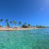 The Catalina Island Experience - Image 15