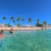 The Catalina Island Experience - Image 2
