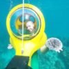 Scuba Doo - Diving Scooters in Punta Cana - Image 2