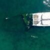 Samaná: Catamaran Boat Tour with Snorkeling and Lunch - Image 4