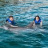 Puerto Plata: Ocean World Adventure Park Swim with Dolphins - Image 4