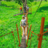 ⁦Punta Cana: Half-Day Zipline Tour⁩ - الصورة ⁦5⁩