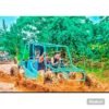 ⁦Punta Cana: Dune Buggy tour Beach And Cenote⁩ - الصورة ⁦4⁩