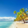Saona Island Full-Day with Pickup in your Hotel Punta Cana - Image 4