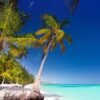 Saona Island: Catamaran tour to a Dream Beach, all inclusive - Image 5