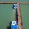 From Punta Cana: Whale Watching and Montana Redonda Tour - Image 6