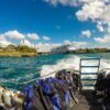 Catalina Island Scuba Diving Tour from Punta Cana - Image 6