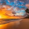 ⁦Punta Cana: Sunset Horseback Ride in Macao Beach and Forest⁩ - الصورة ⁦6⁩