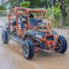 Amazing Excursions in Buggy Punta Cana With Pick Up Hotel - Image 2