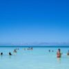 Saona Island Tour with Lunch from Punta Cana - Image 2