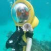 From Punta Cana: ScubaDoo, Snorkel & Glass Bottom Boat Tour - Image 7
