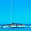 Experience Saona Island from Punta Cana - Image 9