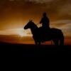 ⁦Punta Cana: Sunset Horseback Ride in Macao Beach and Forest⁩ - الصورة ⁦7⁩