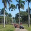 ⁦Amber Cove - Taino Bay 4 Seaters Super Buggy Tour⁩ - الصورة ⁦8⁩