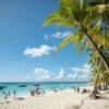 ⁦Punta Cana: Boat Tour to Isla Saona, Open Bar & Buffet Lunch⁩ - الصورة ⁦8⁩