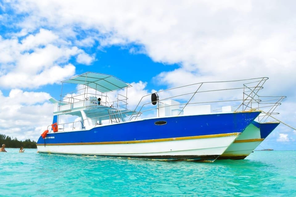 Saona Island Tour From Santo Domingo with Lunch and Pickup - Image 9