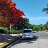 Private Transfer from SDQ to Hyatt Zilara - Image 2