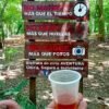 Amber Cove-Taino Bay 7 Damajaguas Water Falls + Local Food. - Image 9