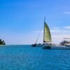 Saona Island Day Trip + Lunch + Open Bar from Punta Cana - Image 9