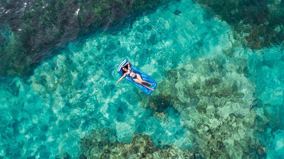 Punta Cana: Reef Explorer Access w/ Sharks & Stingrays Swim - Image 9