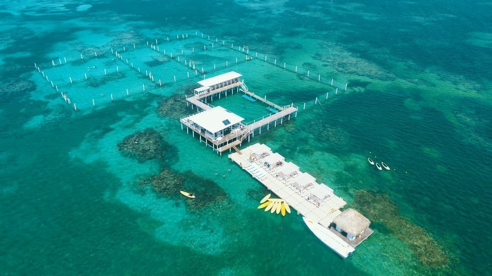 Punta Cana: Reef Explorer Access w/ Sharks & Stingrays Swim