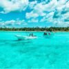 ⁦Discover Saona Island: Enjoy The Paradise⁩ - الصورة ⁦10⁩
