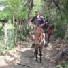 Beach horse back riding and countryside - Image 10