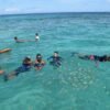 ⁦Punta Cana: Private VIP Catamaran Party Cruise and Snorkel⁩ - الصورة ⁦4⁩