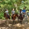 Dominican Republic: El Limón Waterfall Horseback Riding Tour - Image 2