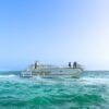 Punta Cana Boat Cruise with Snorkeling and Open Bar - Image 10