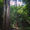 Sabana de la Mar:  Los Haitises ATV Ride & Hiking - Image 13