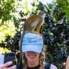⁦Punta Cana: Monkeyland and Plantation Tour⁩ - الصورة ⁦4⁩